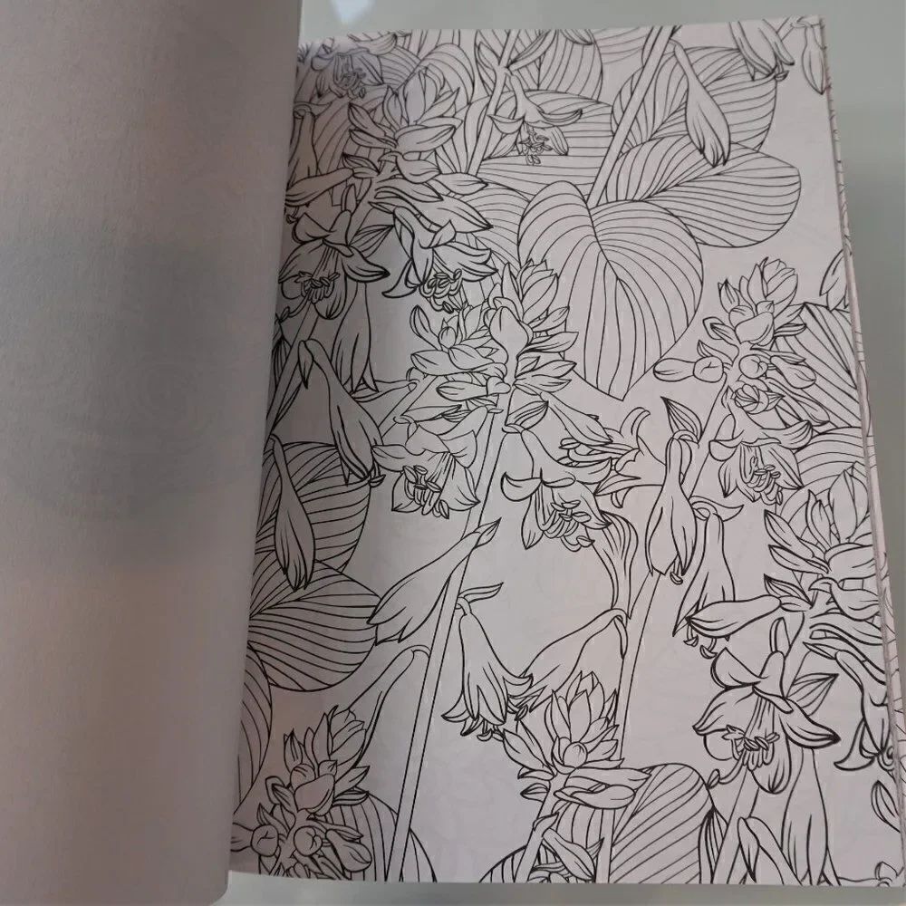 Color Creatives Book Peaceful Patterns Coloring To Relax And Soothe - Picture 7 of 9